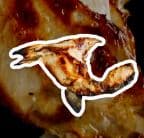 Best 烤鱼脸 Hamachi Kama in Willits, CA