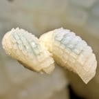 Best NGR17. Ika in Willits, CA