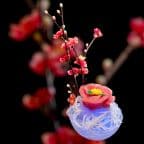 Best SSM2. Maguro Sashimi in Willits, CA